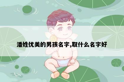 潘姓优美的男孩名字,取什么名字好